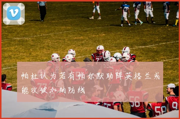 帕杜认为若有帕尔默助阵英格兰或能攻破加纳防线