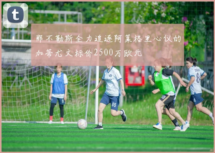 那不勒斯全力追逐阿莱格里心仪的加蒂尤文标价2500万欧元